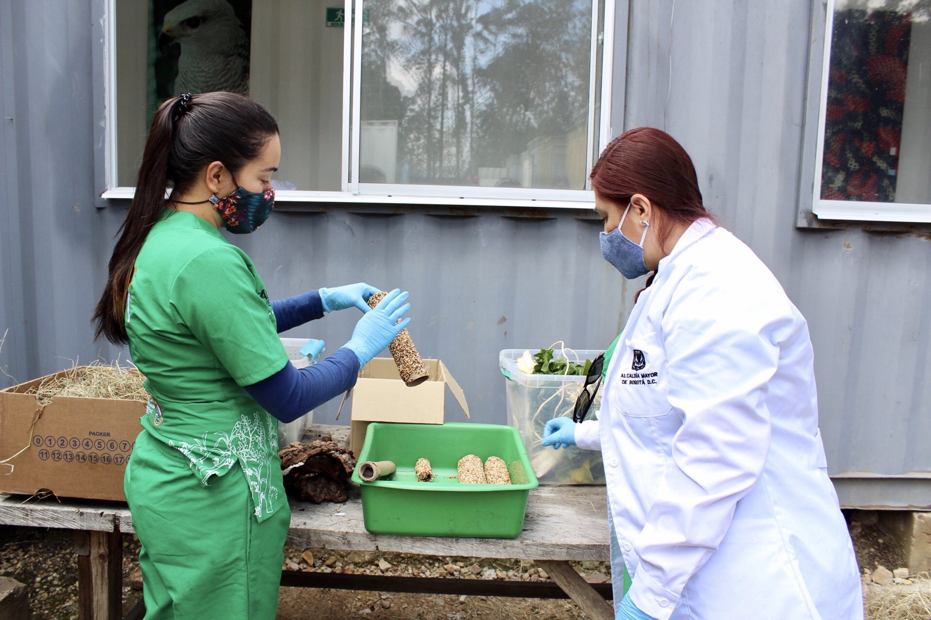 Imagen de las biólogas preparando las mixturas de semillas para las aves.