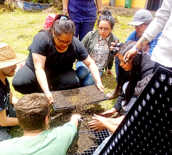 Visita universidades