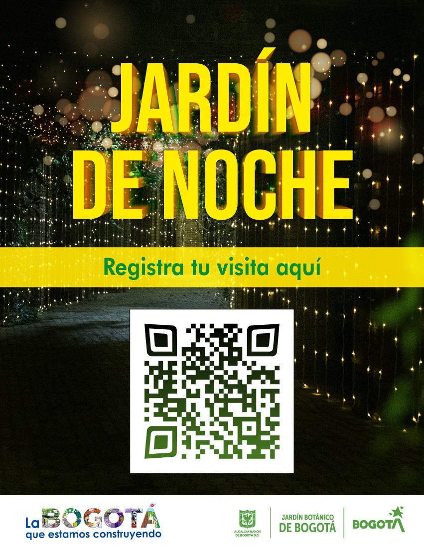 codigo