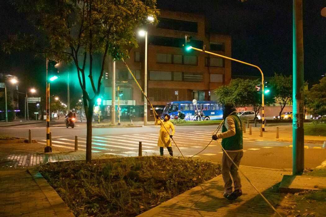 Imagen de control de plagas a un árbol