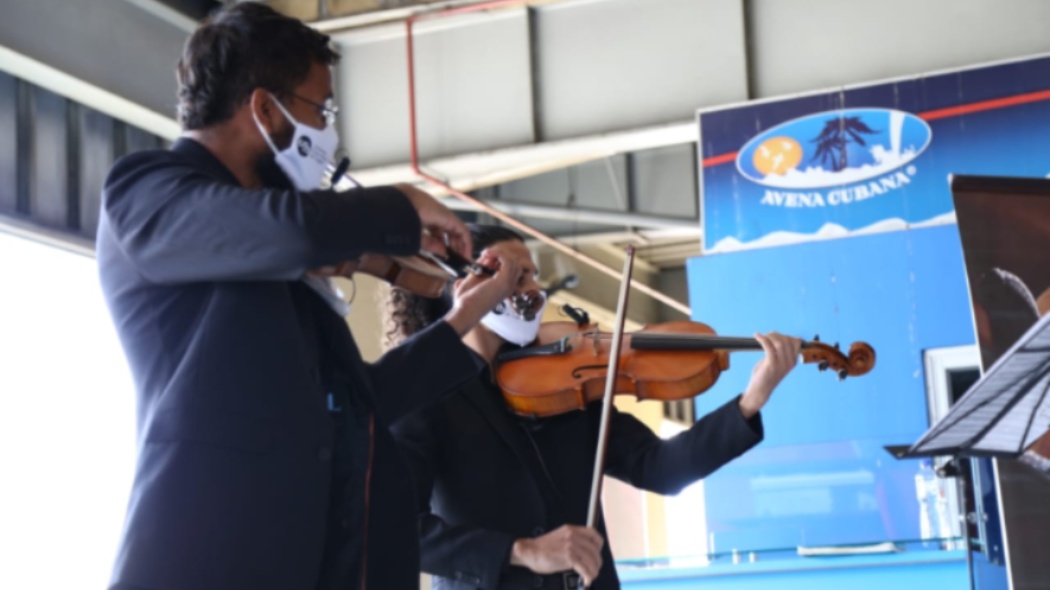 Violinistas en exhibición pública