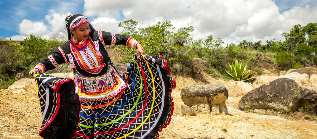 Casona de la Danza 