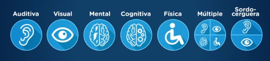 imagen con los siete tipos de discapacidad