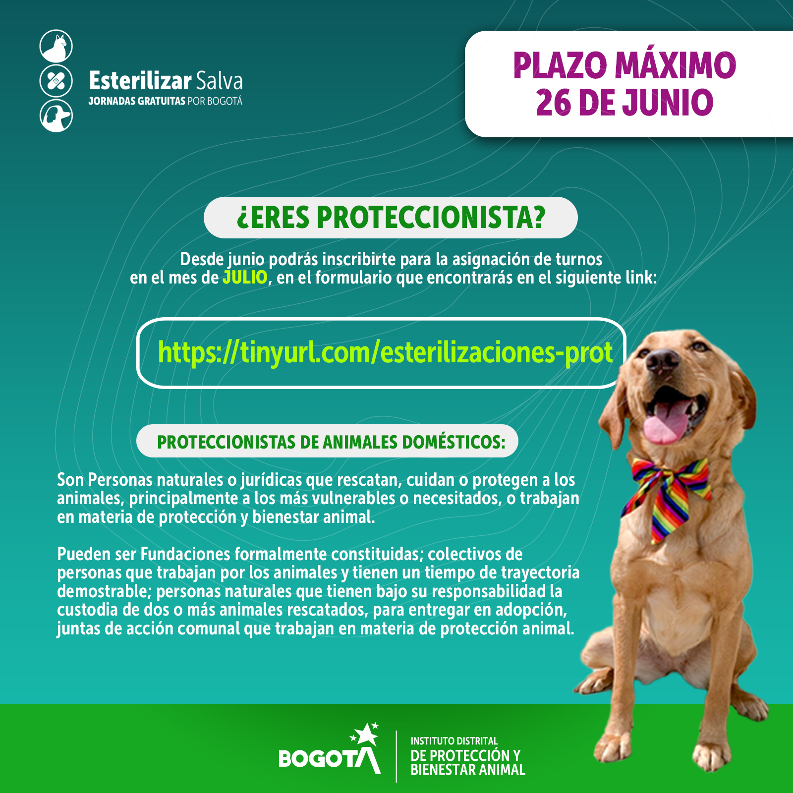 esterilizacion