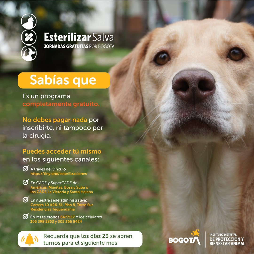 esterilizacion