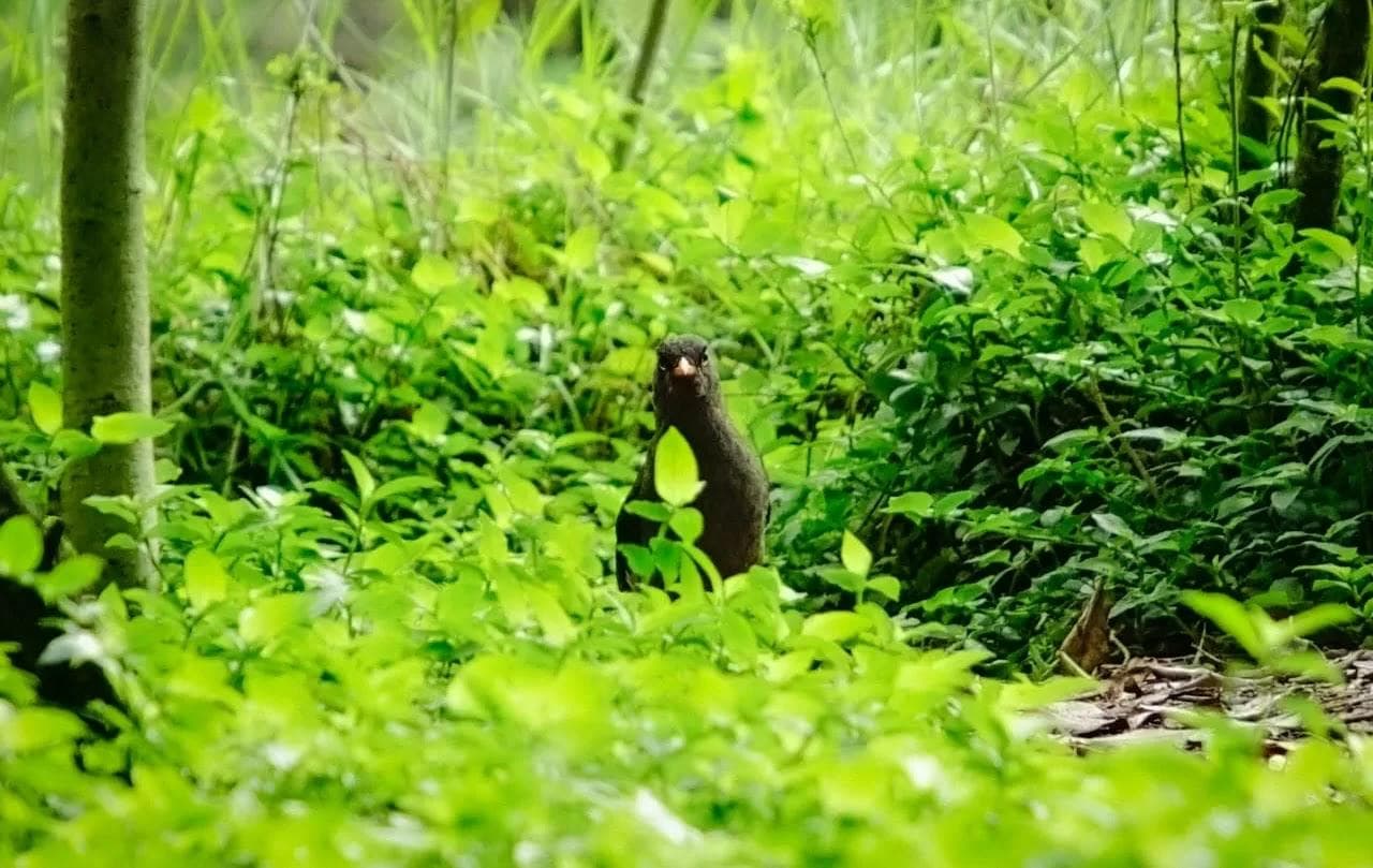 En Bogotá sí al turismo de naturaleza, pero cumpliendo la normativa ambiental 2