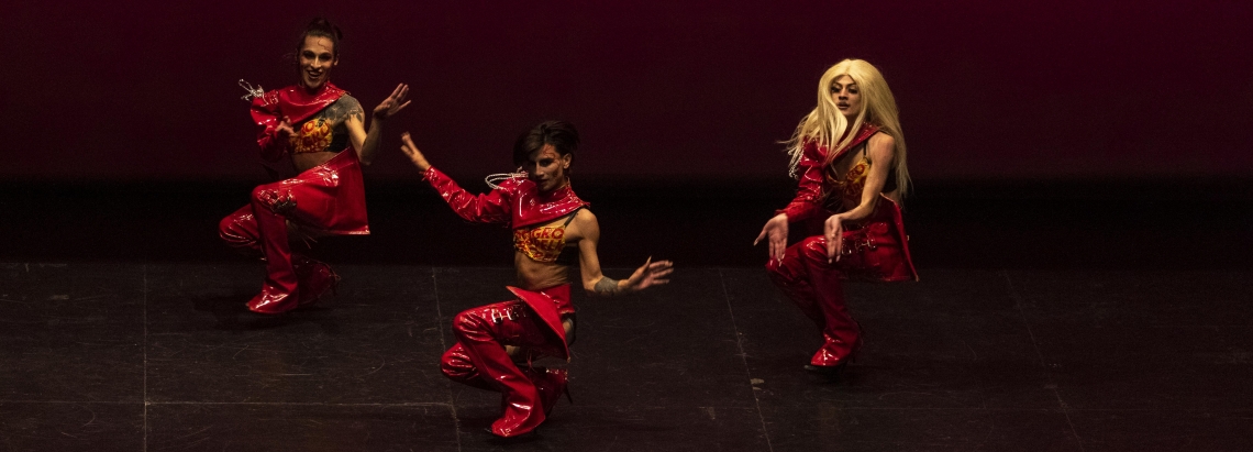 Proyectos de danza en Bogotá 