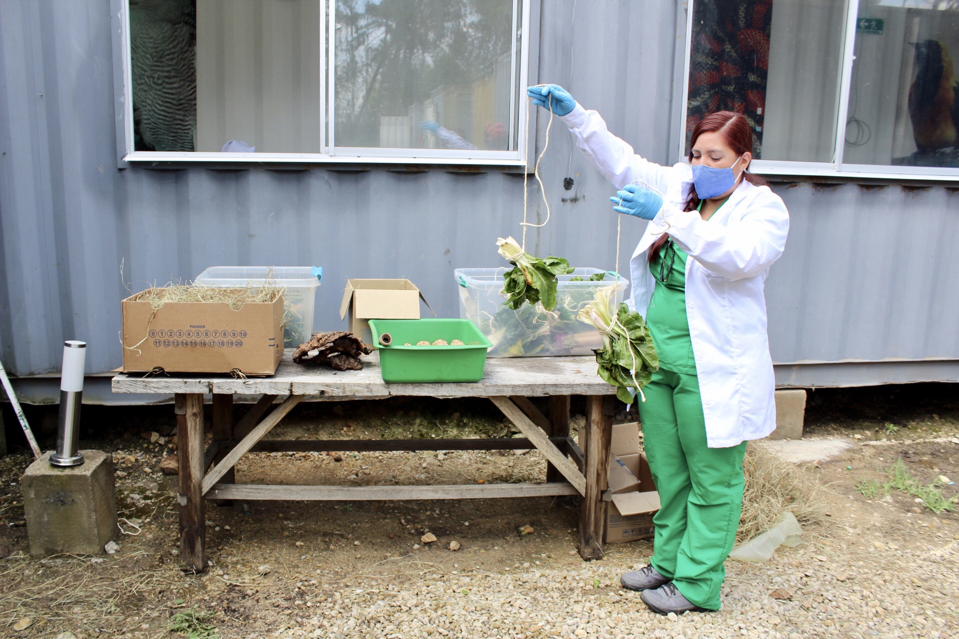 Johanna muestra la elaboración de unas cuerdas con vegetales para alimentar los animales.