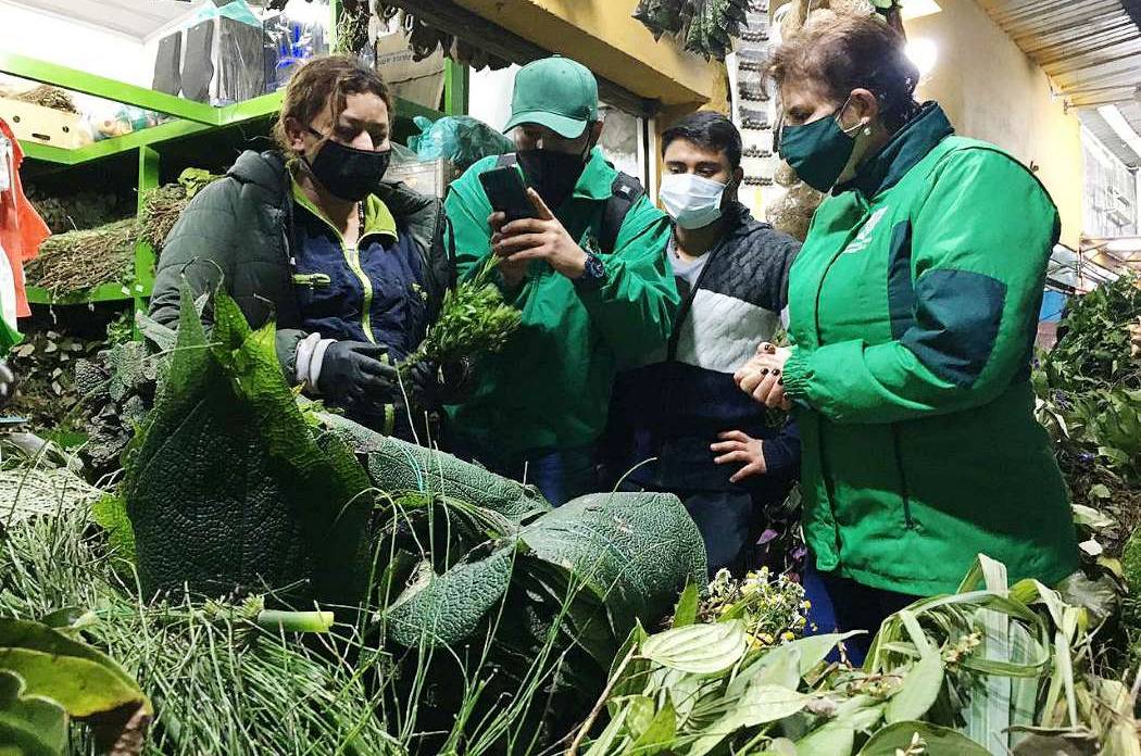 Directora del Jardín Botánico dialoga con vendedores de plantas.