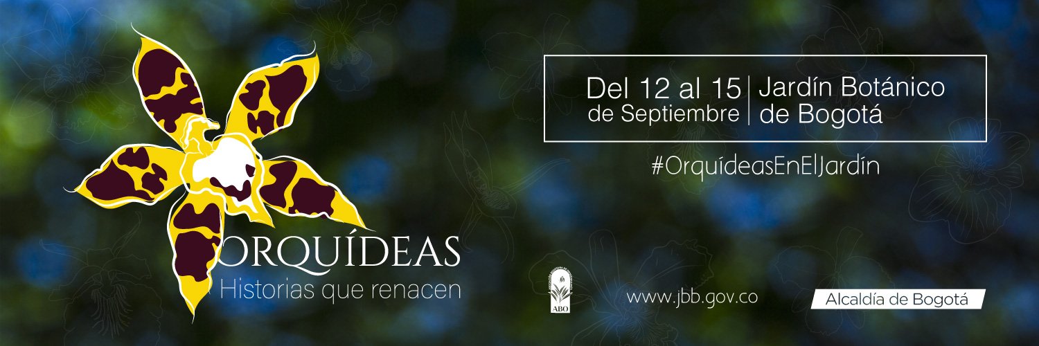 Exposición de orquídeas 2019