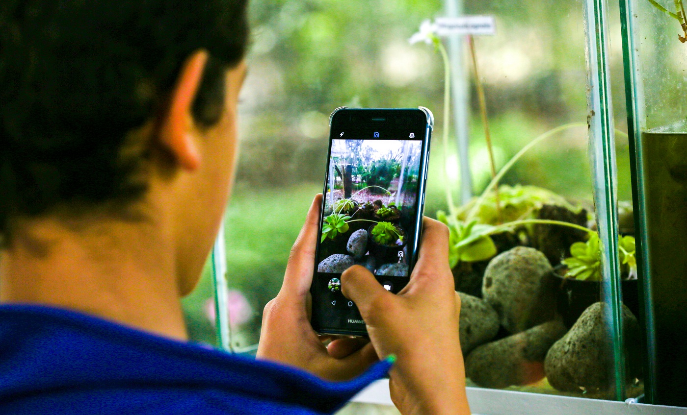 Exposición plantas carnívoras en el Jardín Boránico de Bogotá