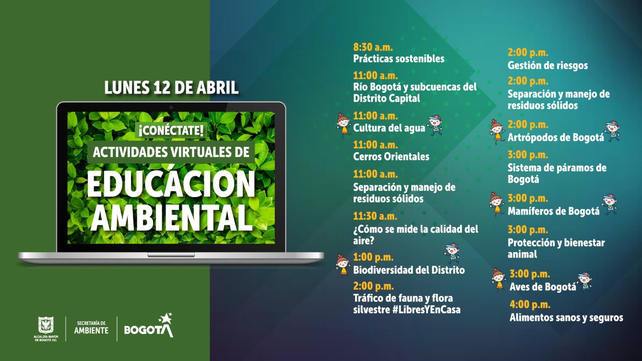 actividades 