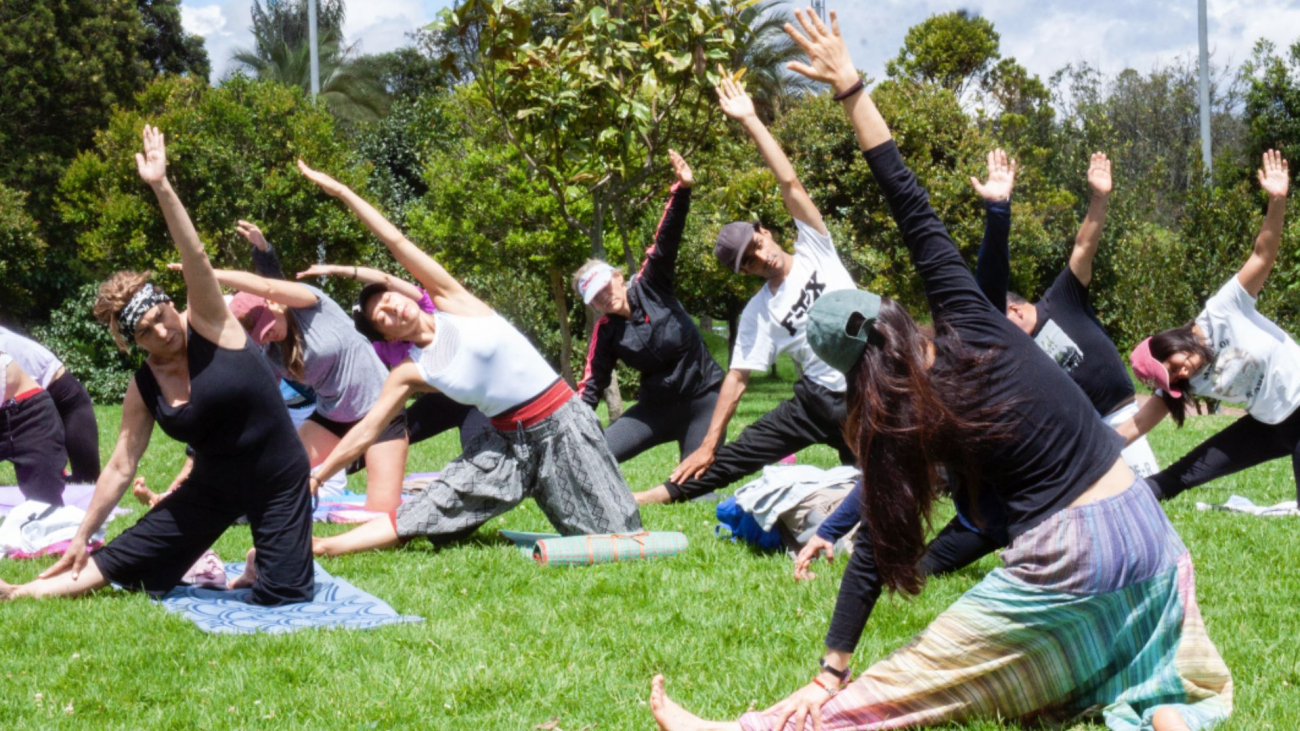 Festival Calma en Bogotá 