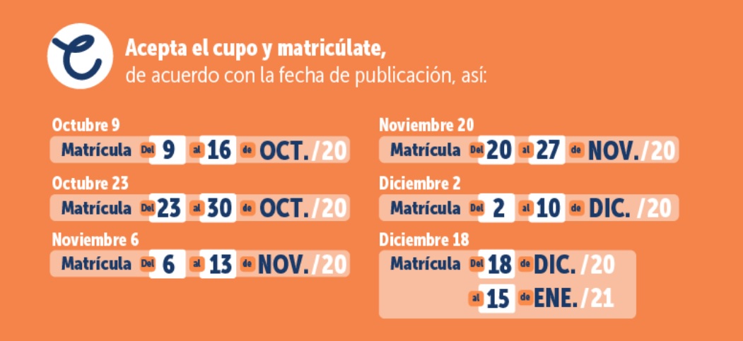 Fechas formalización de matrículas