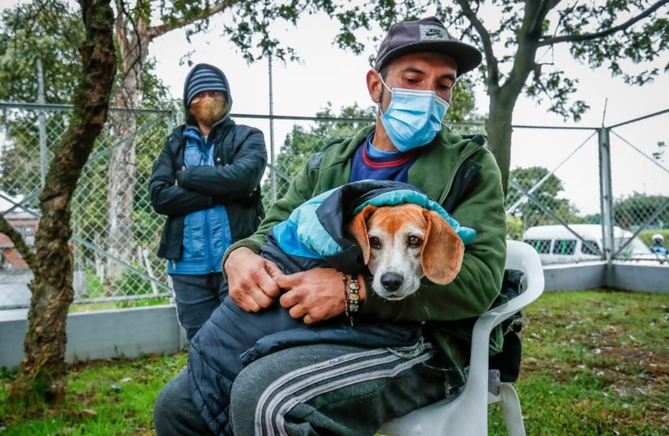 Atención animales de compañía de habitantes de calle