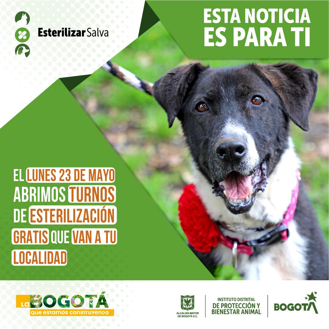 esterilizciones