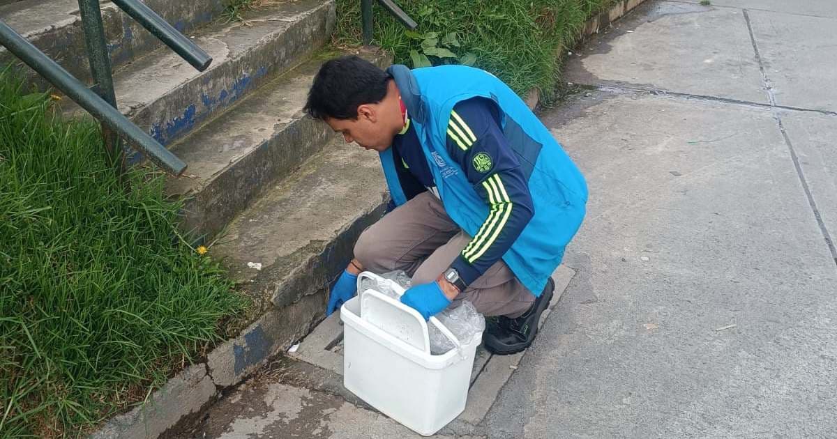 Fumigación y control de roedores e insectos en Bogotá 