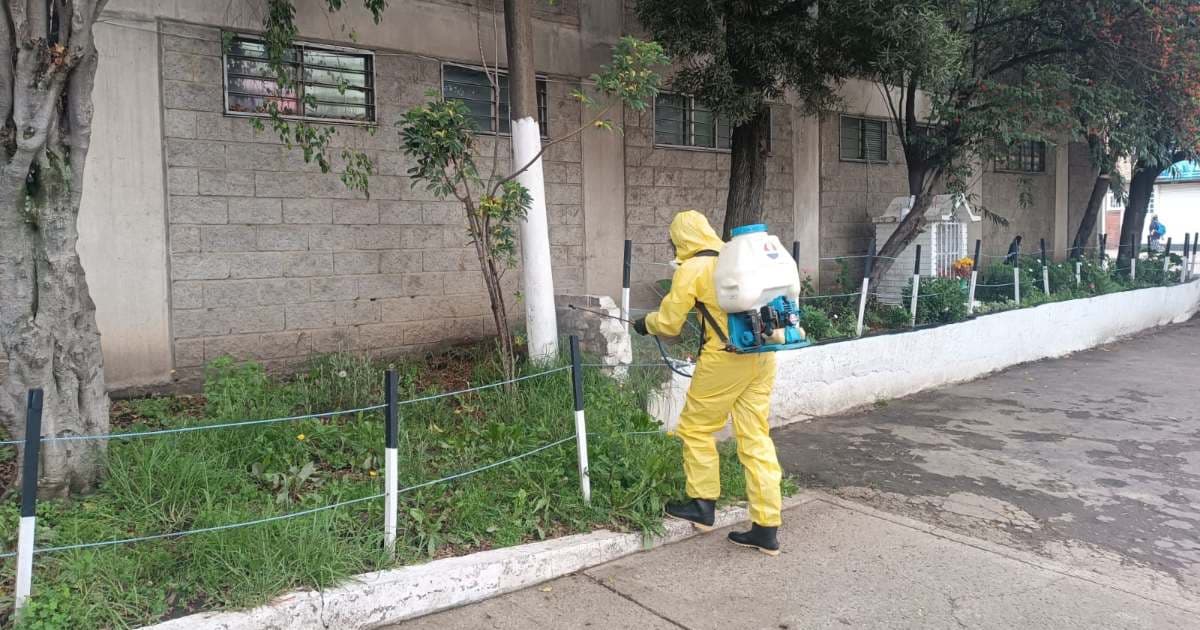 Fumigación y control de roedores e insectos en Bogotá 