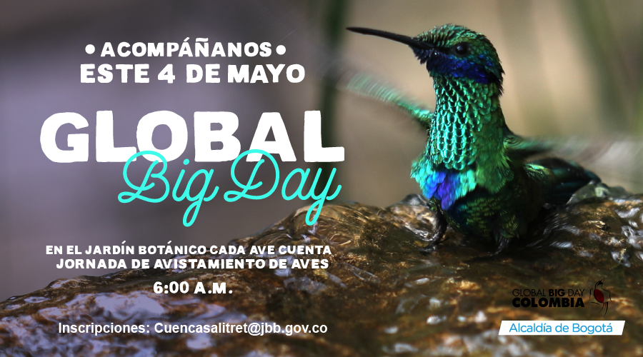 Global Big Day