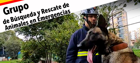 Grupo Brae - PIEZA: prensa Bomberos de Bogotá