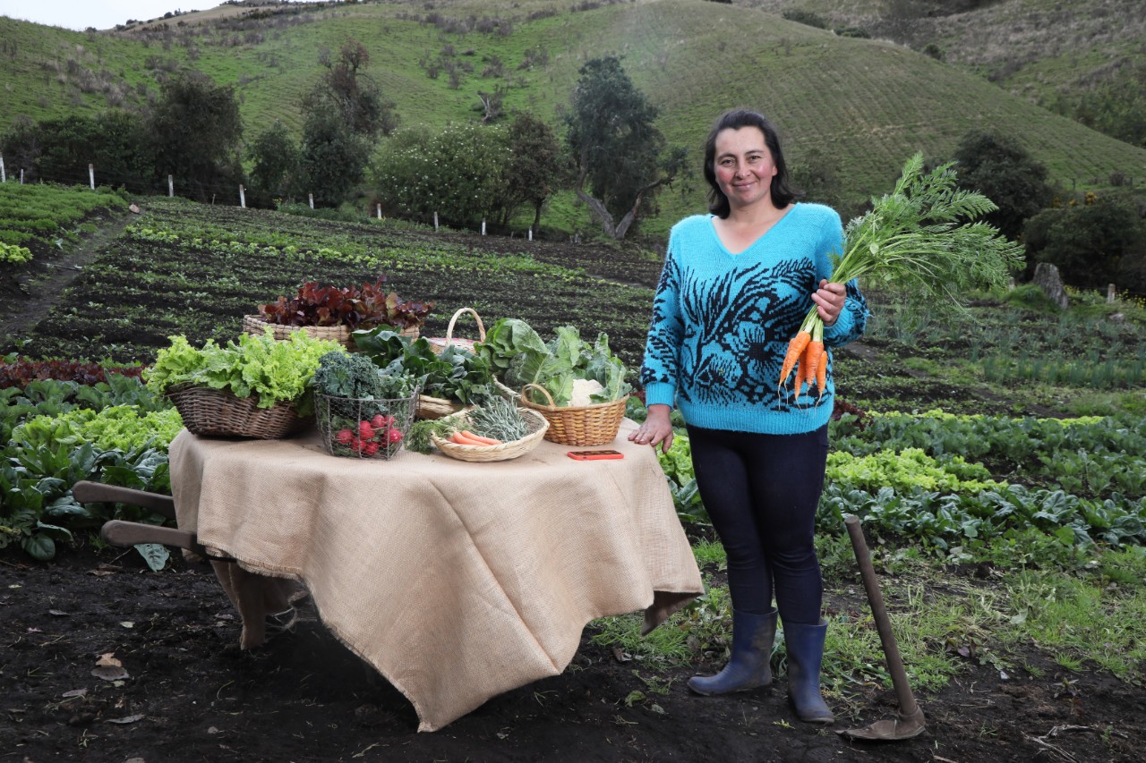 Mercatón Campesina prepara su segunda versión - Foto: Secretaría de Desarrollo Económico