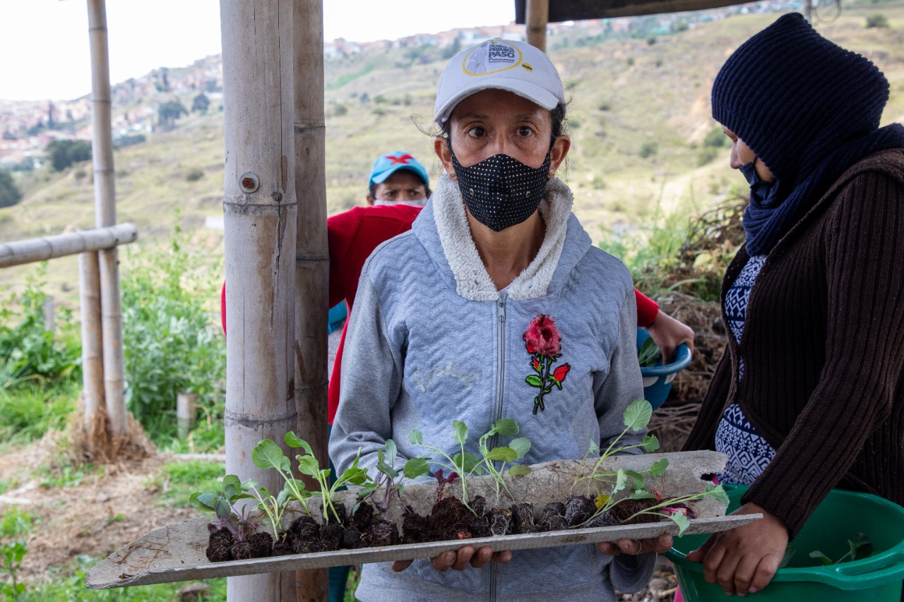 Huerta Urbana La Estancia