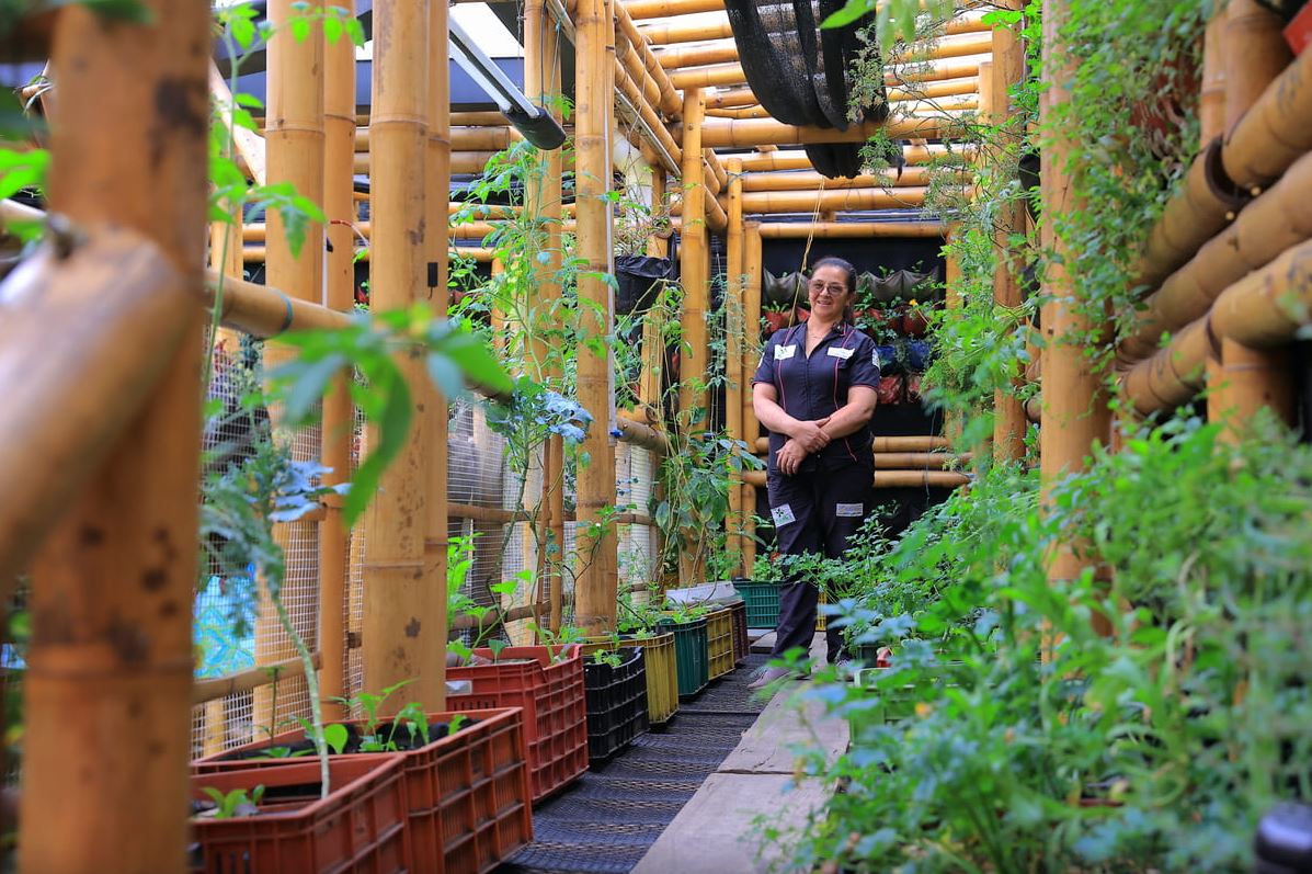 Rosalba Parra, encargada del mantenimiento del jardín de la Huerta FunCener. Foto: Juan Sotelo -IDT