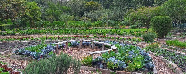 Huertas Bogotá