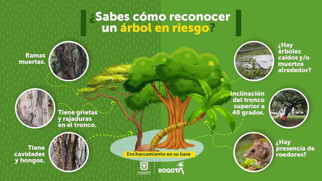 arboles 