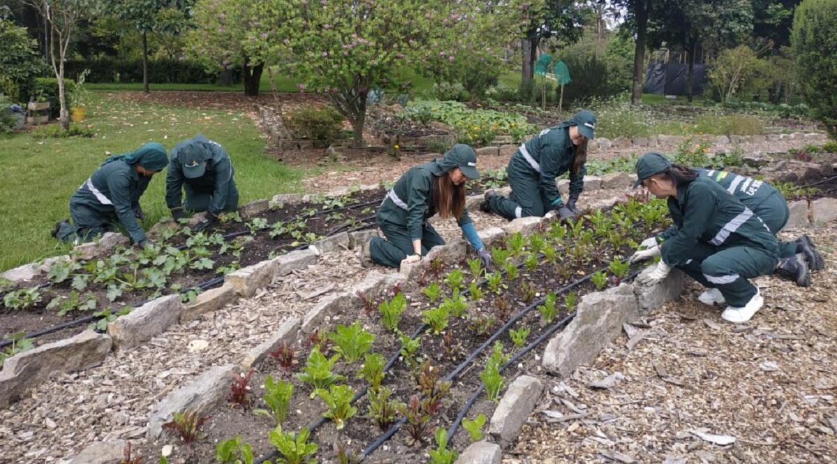 Cooperativa de huerteras