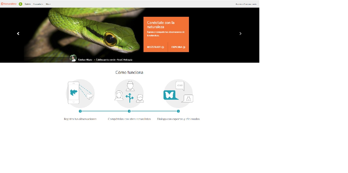 Pantallazo de la plataforma iNaturalist