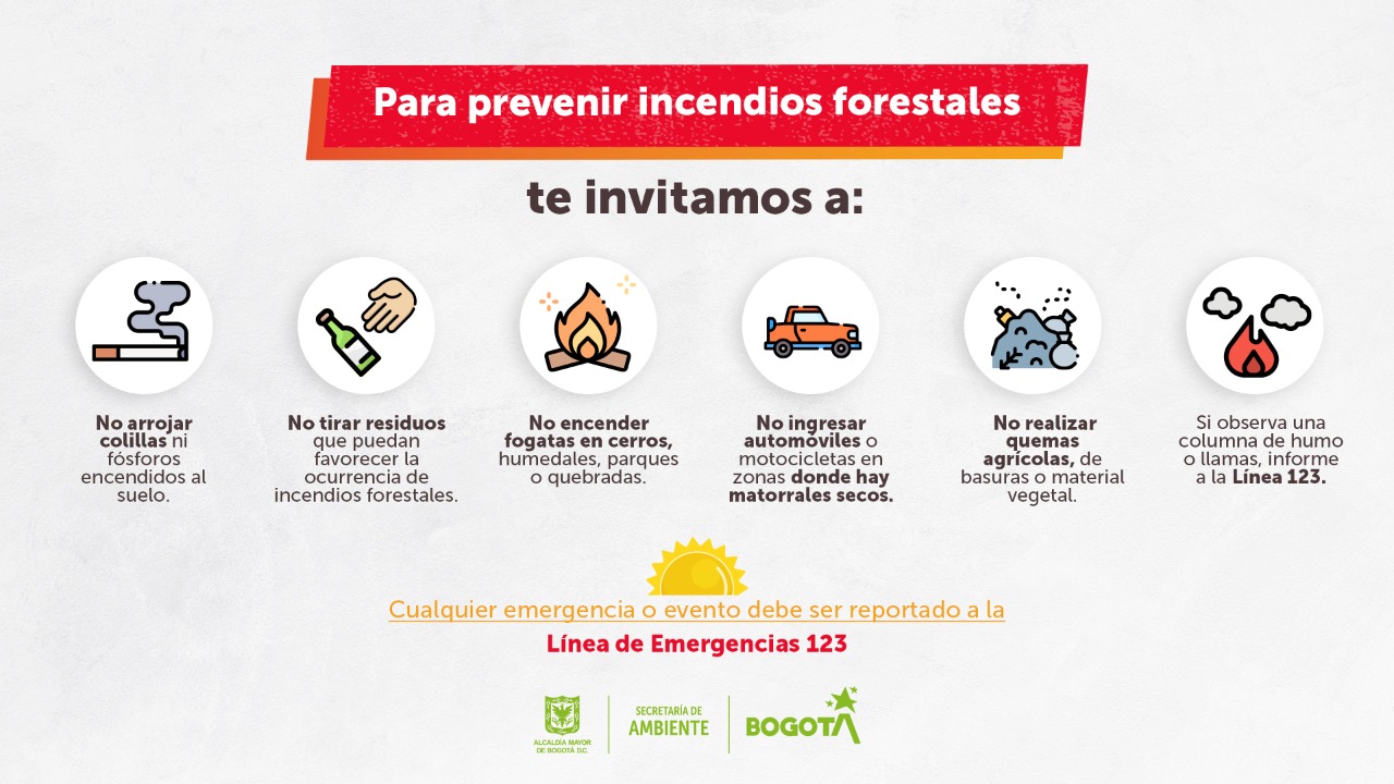 Recomendaciones para evitar incendios forestales 