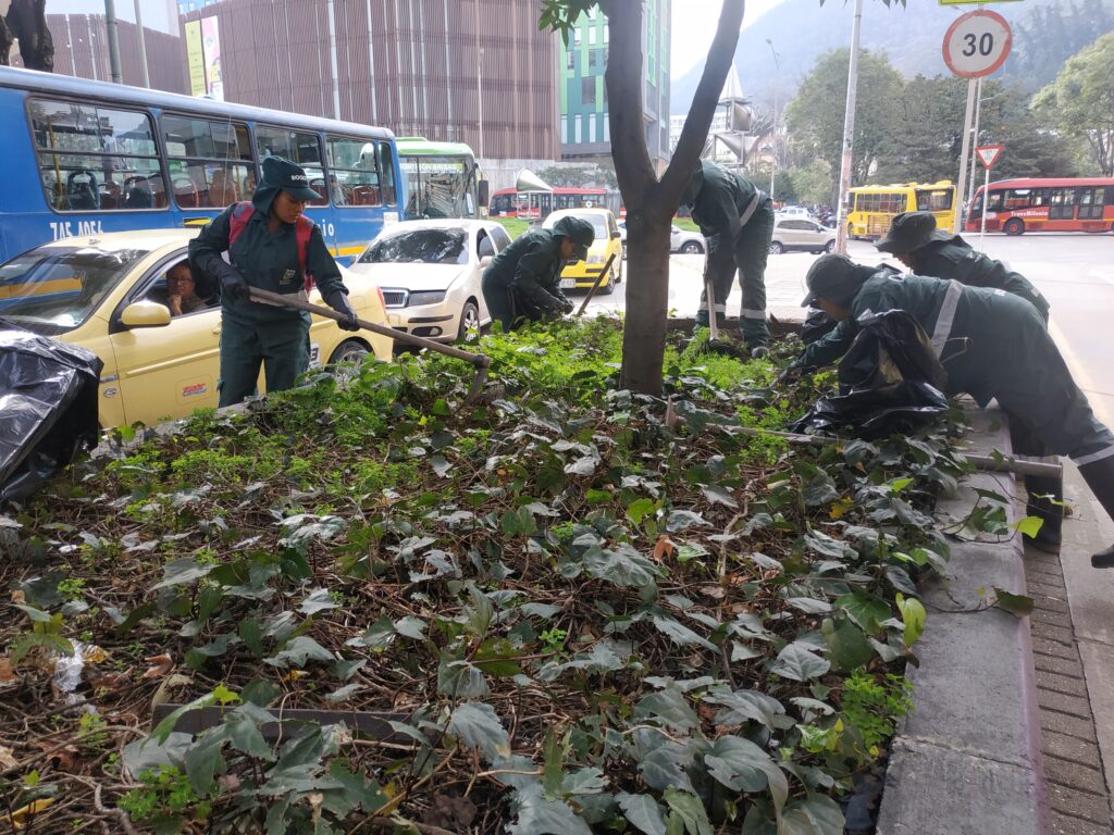 #ElCentroVive fortaleció las jardineras de la avenida 19 en Bogotá