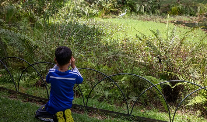 jardin interior