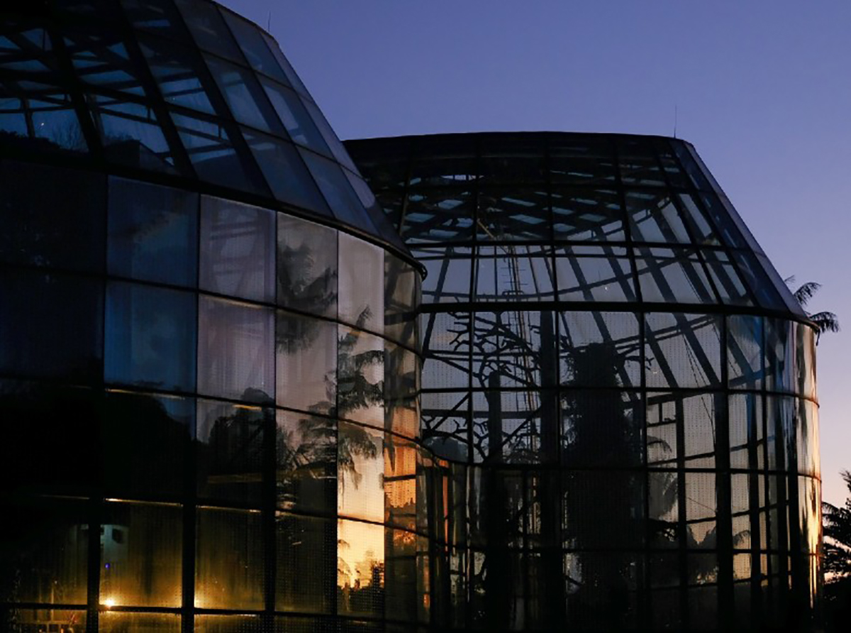 Jardín de Noche