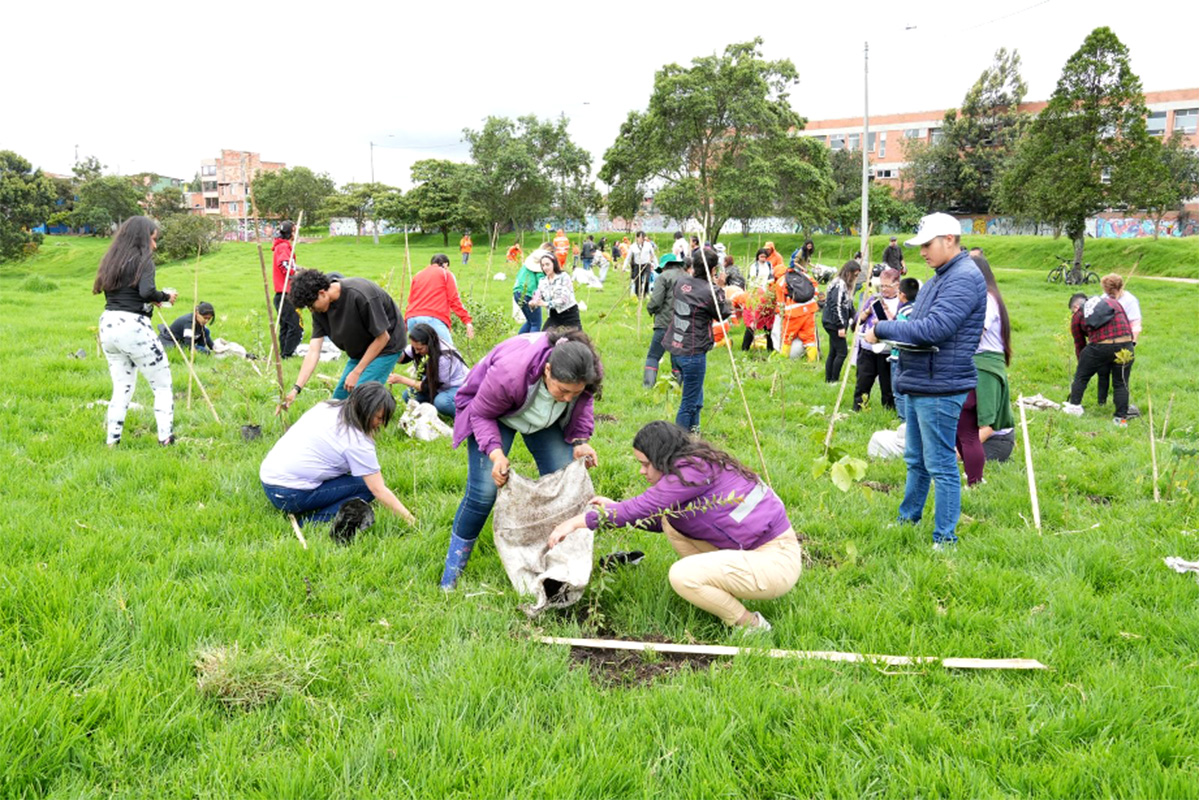  Árboles nativos plantados en Bogotá en conmemoración de las mujeres