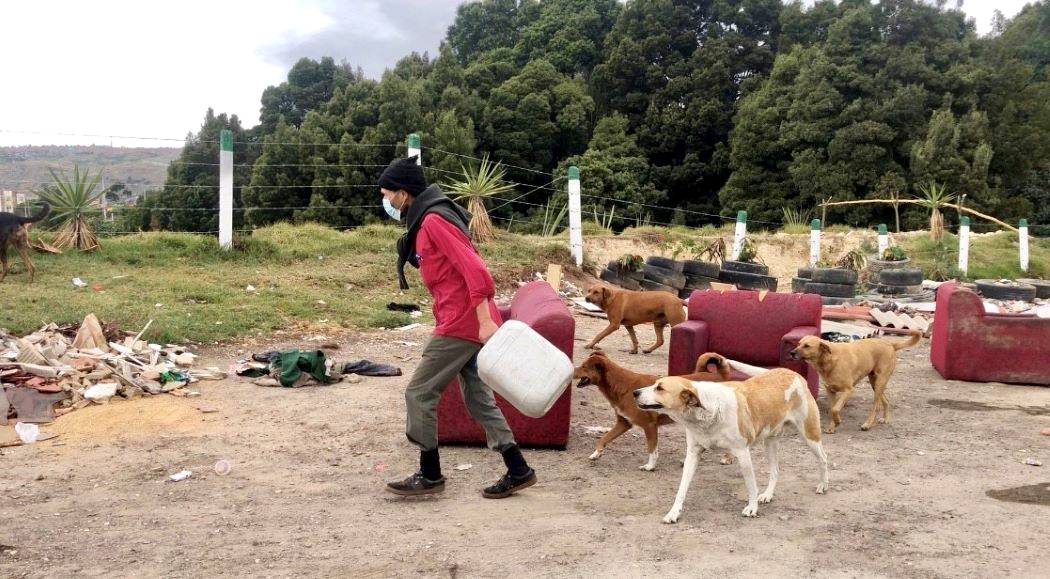 Imagen de José con sus caninos