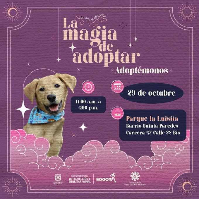 adopciones 