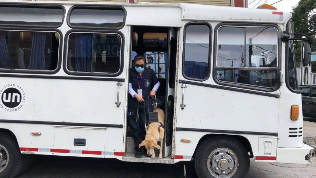 Imagen de Lady con su animal de compañía