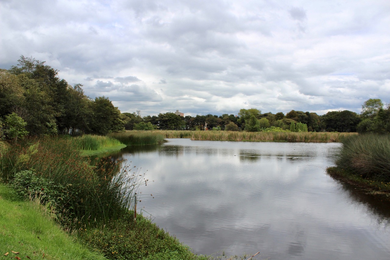 Imagen del lago del humedal.