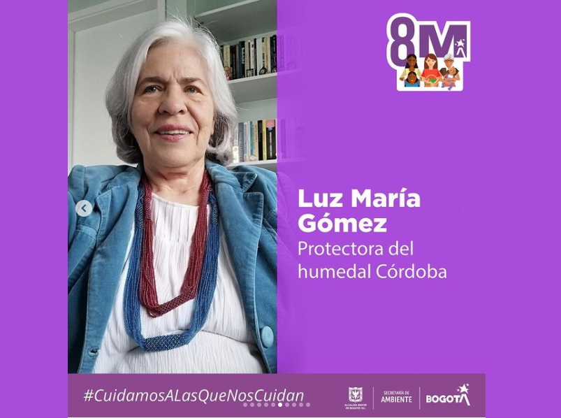 Perfil de Luz María