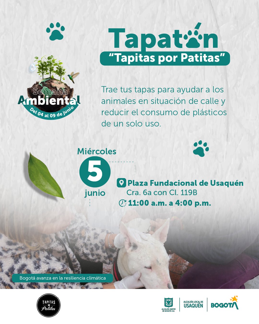 Semana Ambiental