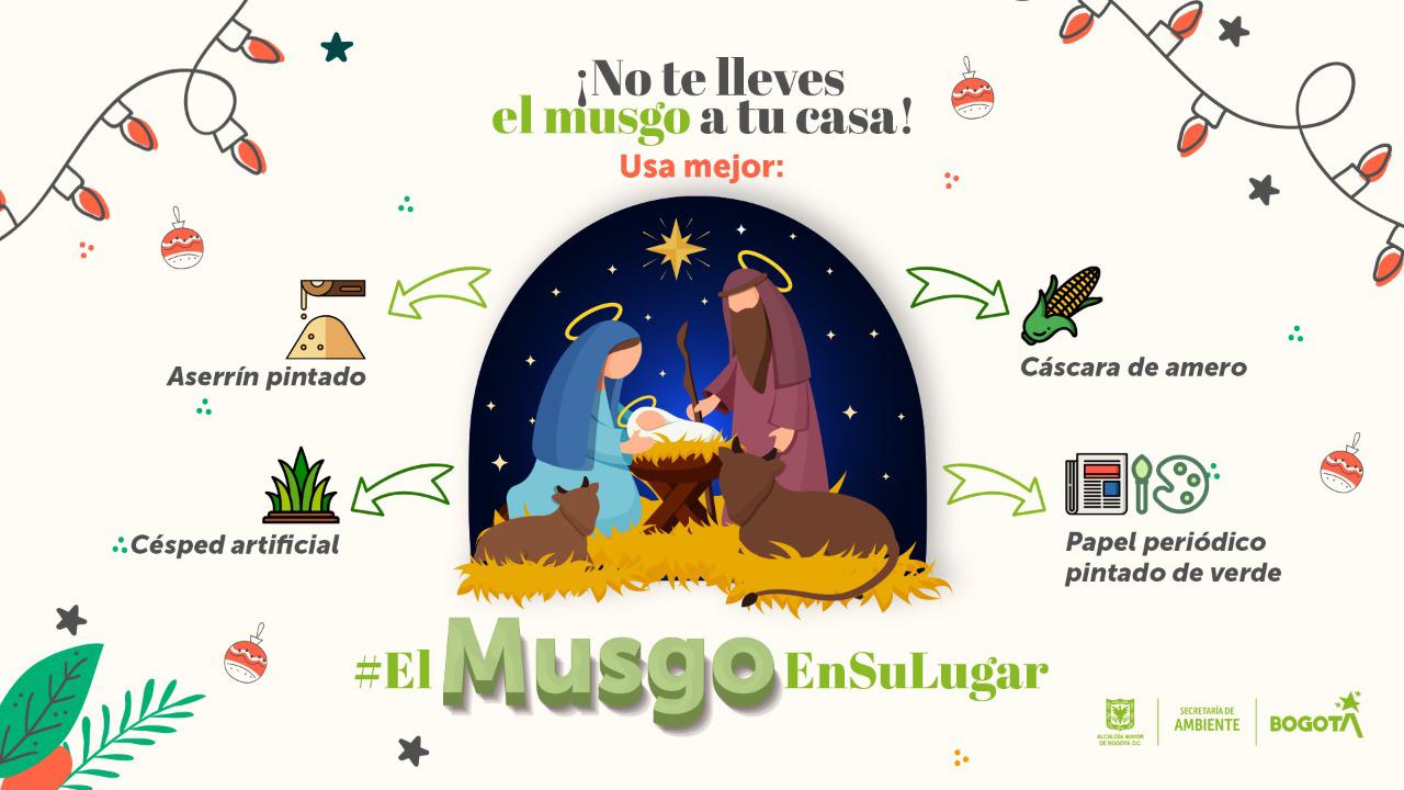 Imagen de musgo