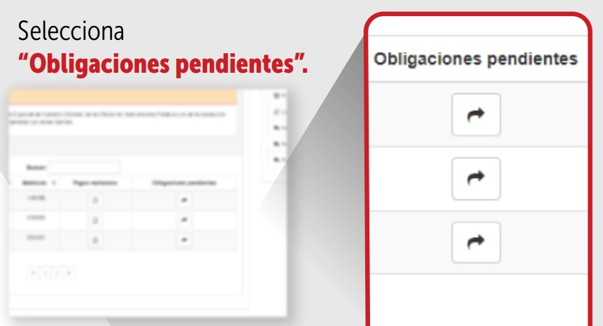 Obligaciones