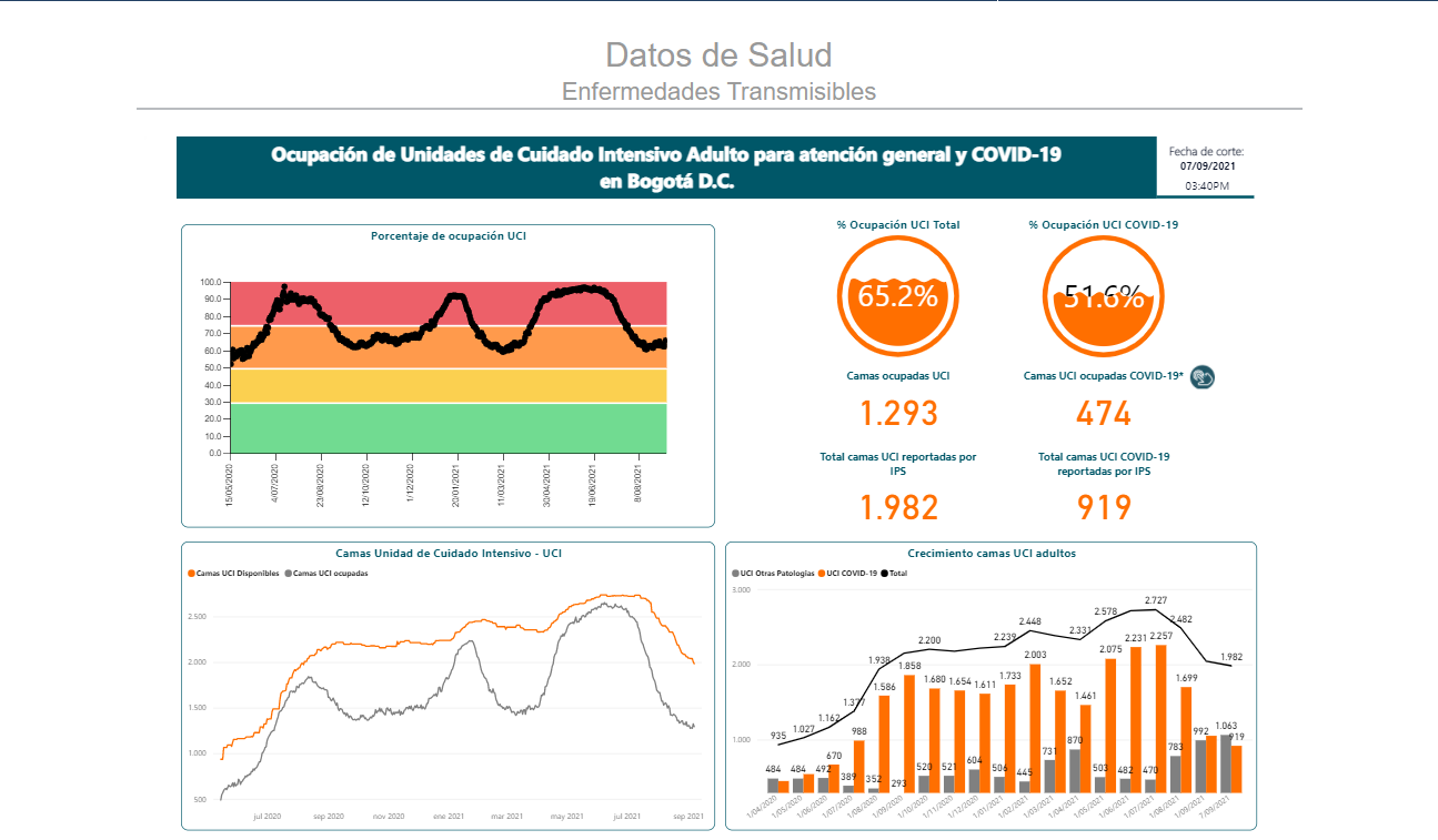 Pantallazo ocupación de camas UCI