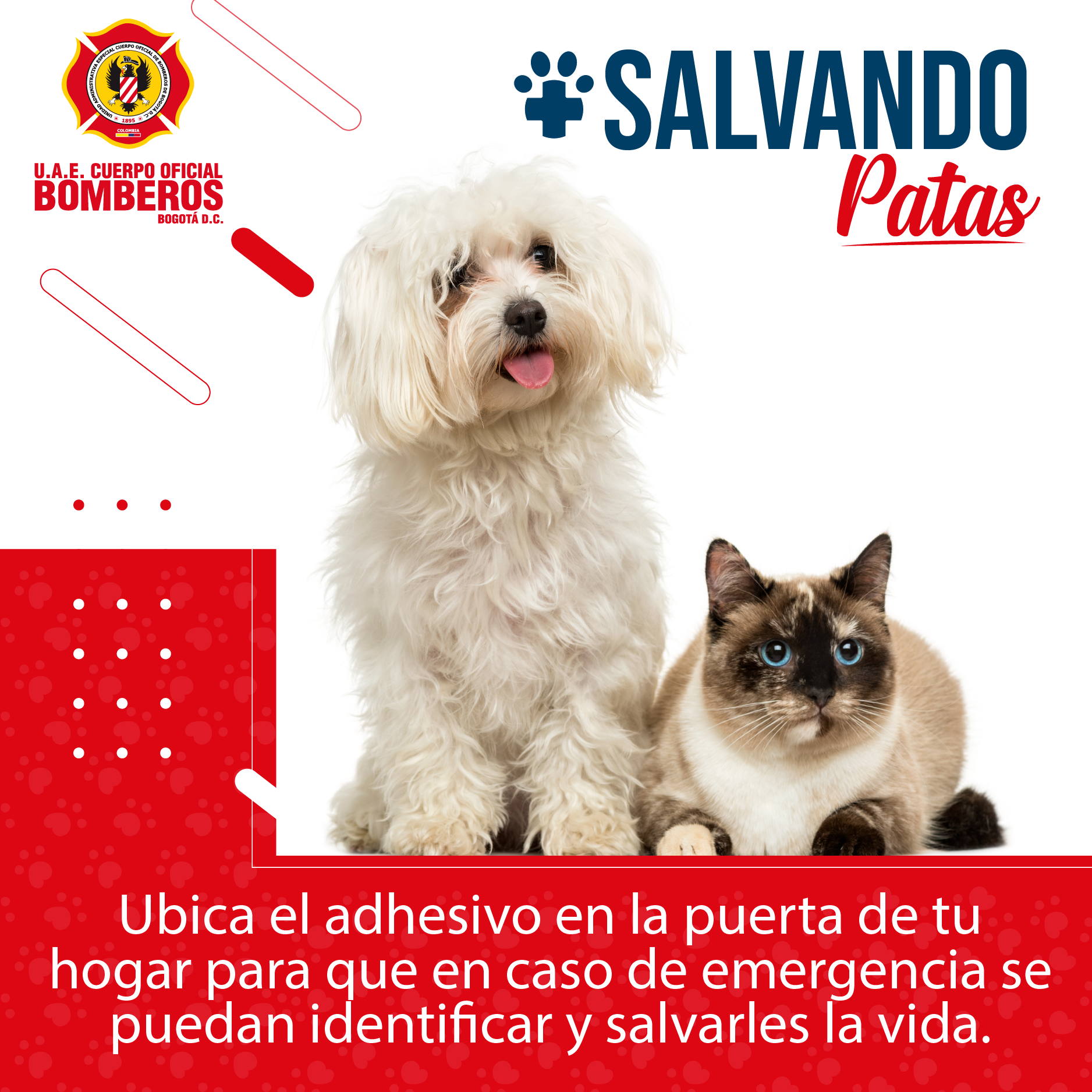 Campaña Salvando Patas - PIEZA: Prensa Bomberos Bogotá