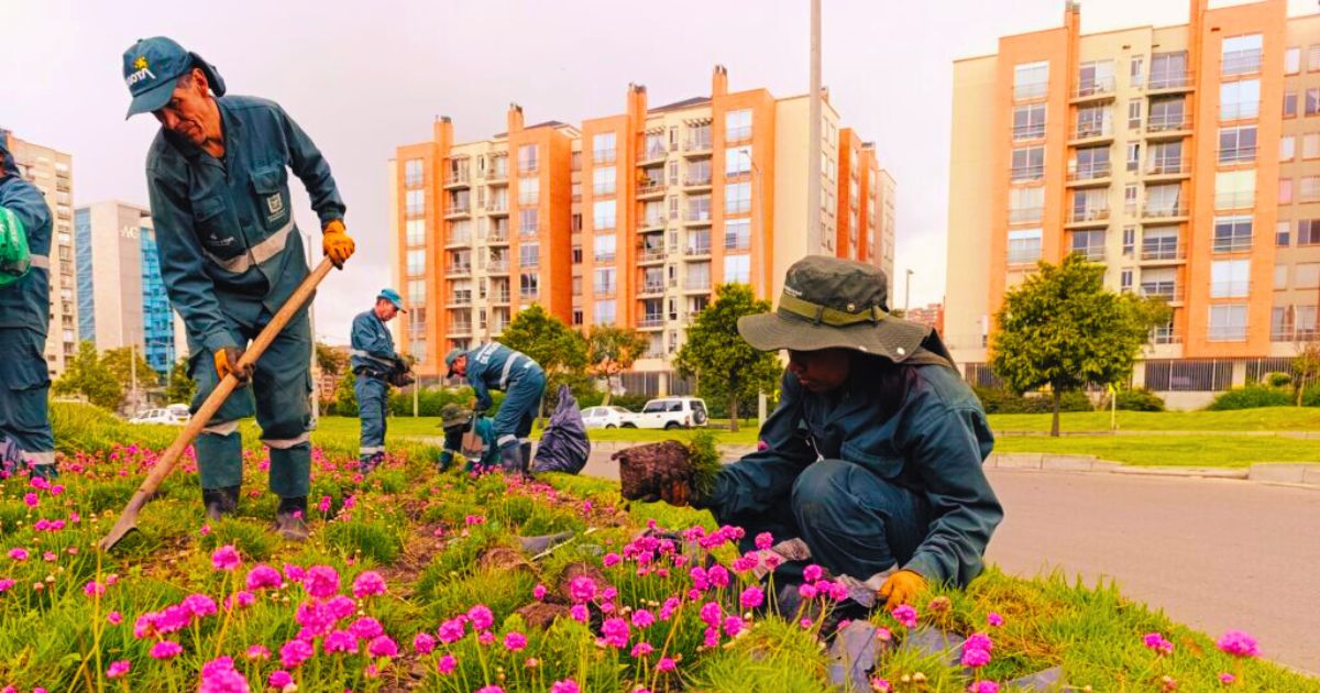 Jardinería Suba 