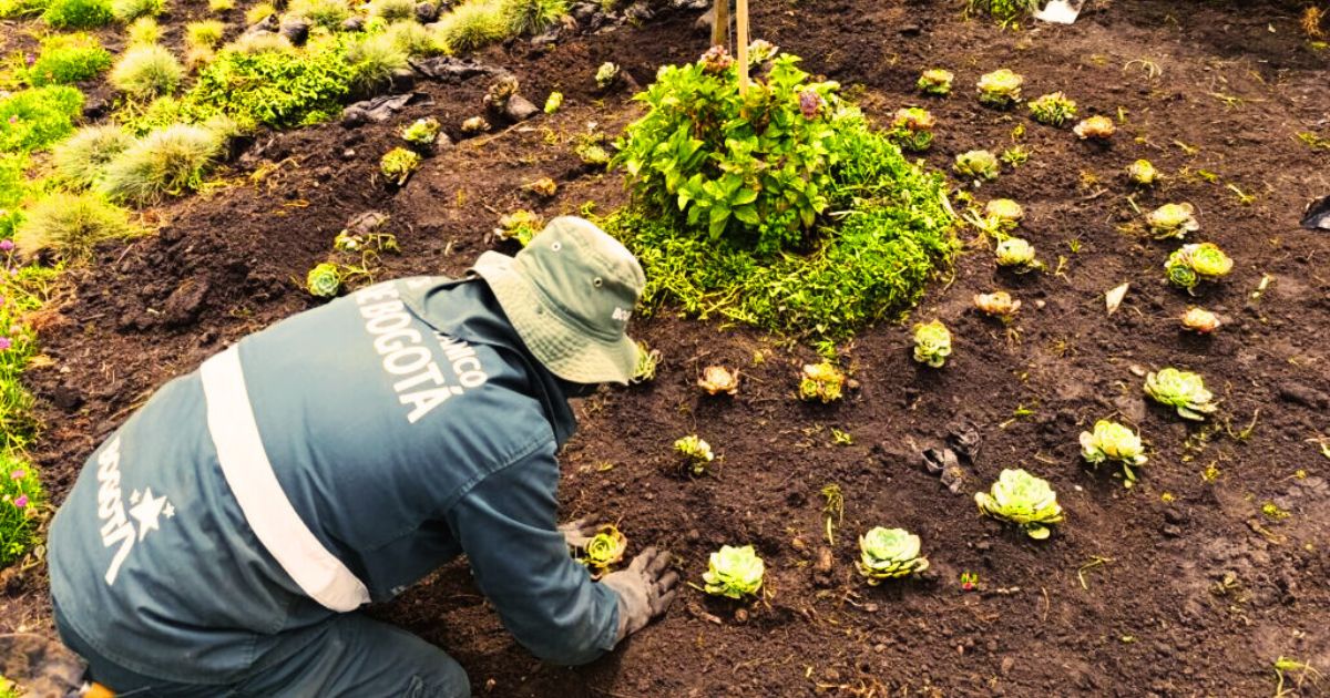 Jardinería Suba 