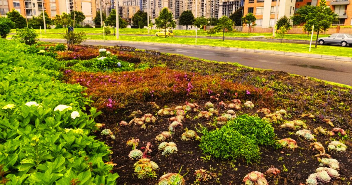 Jardín Botánico de Bogotá