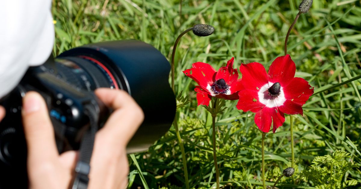 Taller de fotografía para niños en Bogotá 